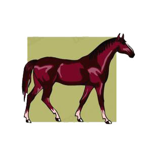 Horse listed in horse decals.