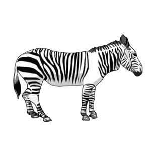Zebra listed in horse decals.