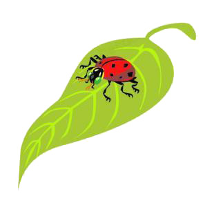 Ladybug on a leaf listed in insects decals.