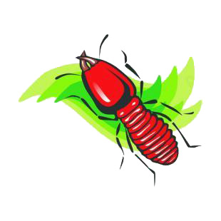 Earwig listed in insects decals.
