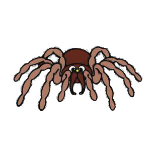 Tarantula listed in insects decals.