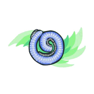 Blue worm listed in insects decals.