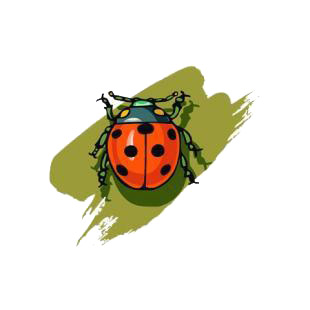 Ladybug listed in insects decals.