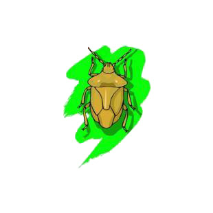 Scarab listed in insects decals.