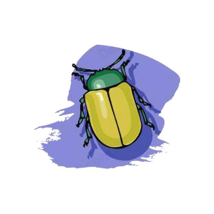 Scarab listed in insects decals.