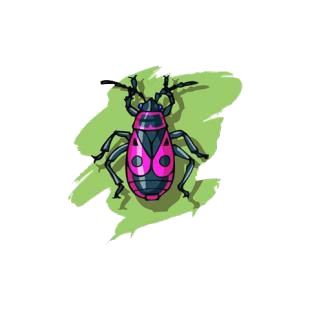 Scarab listed in insects decals.