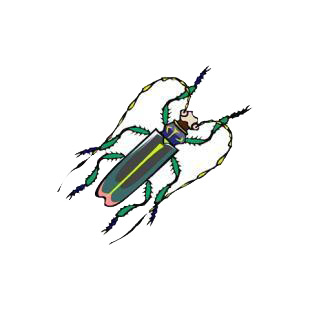 Scarab listed in insects decals.