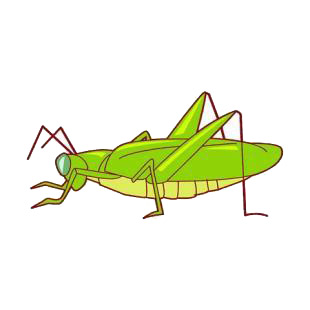 Grasshopper listed in insects decals.
