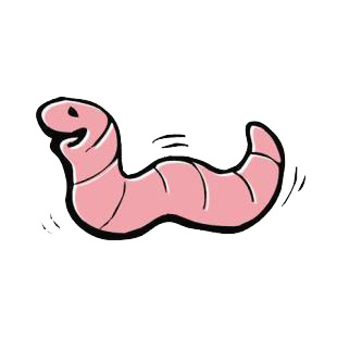 Worm listed in insects decals.