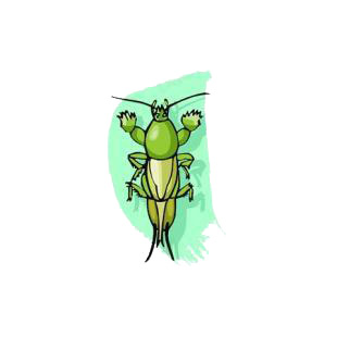 Katydid listed in insects decals.