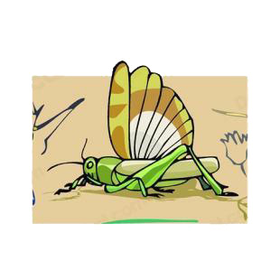 Katydid listed in insects decals.