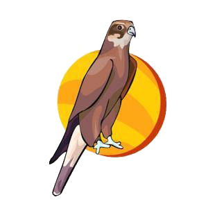 Brown hawk listed in birds decals.