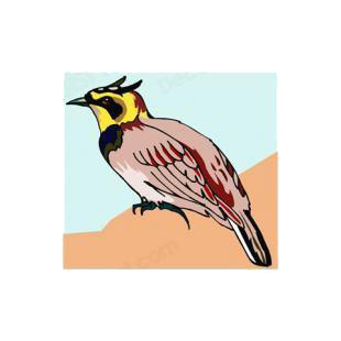 Horned lark on a branch listed in birds decals.