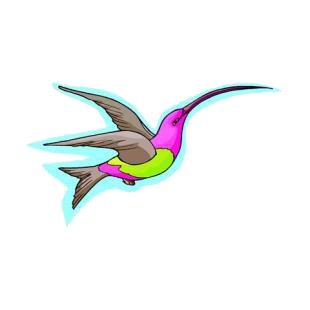 Hummingbird listed in birds decals.