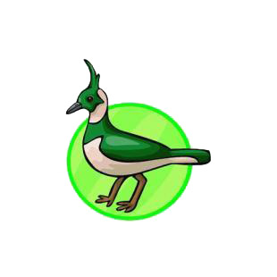 Lapwing listed in birds decals.