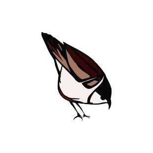 Bird listed in birds decals.