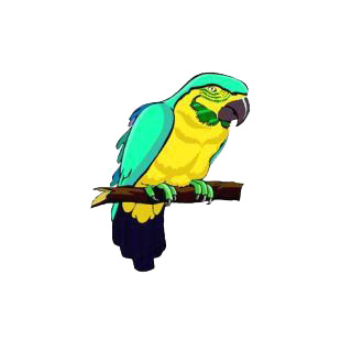 Parrot on a twig listed in birds decals.