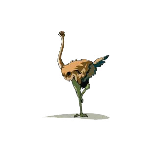 Ostrich listed in birds decals.