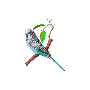 Lovebird on a twig listed in birds decals.