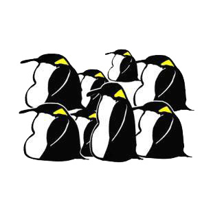 Penguins listed in birds decals.