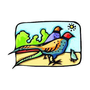 Pheasant birds listed in birds decals.