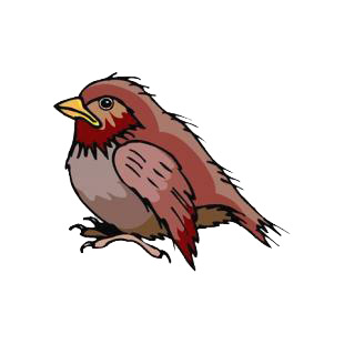 Puffbird listed in birds decals.