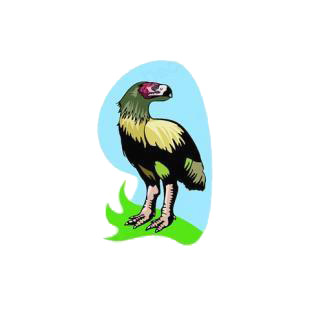 Raptorial bird listed in birds decals.