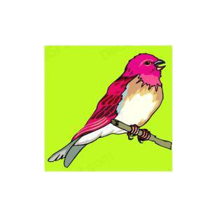 Redhead bird listed in birds decals.