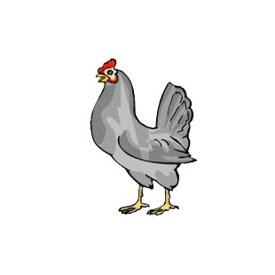 Grey rooster listed in birds decals.
