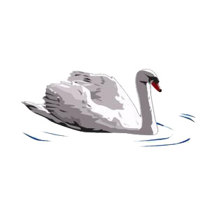 Swan swimming listed in birds decals.