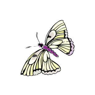 Butterfly listed in butterflies decals.