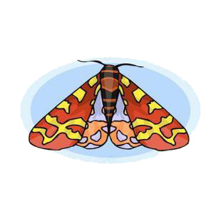 Moth listed in butterflies decals.