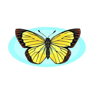 Butterfly listed in butterflies decals.