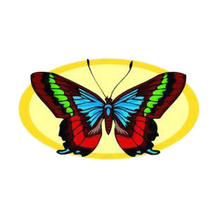 Butterfly listed in butterflies decals.