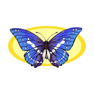 Butterfly listed in butterflies decals.