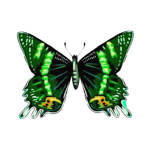 Butterfly listed in butterflies decals.