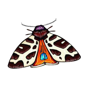 Moth listed in butterflies decals.