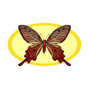 Butterfly listed in butterflies decals.