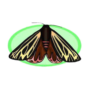 Moth listed in butterflies decals.