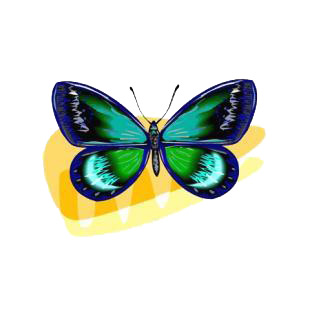 Butterfly listed in butterflies decals.