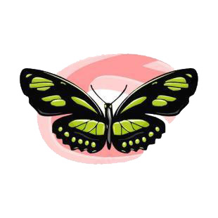 Butterfly listed in butterflies decals.