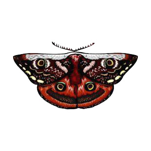 Moth listed in butterflies decals.