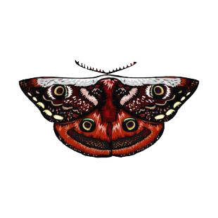 Moth listed in butterflies decals.