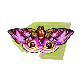 Moth listed in butterflies decals.