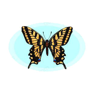 Butterfly listed in butterflies decals.