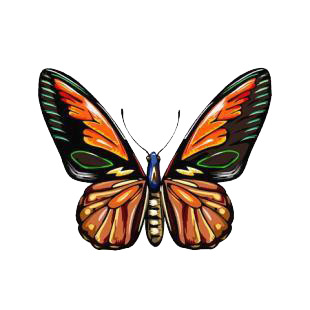 Butterfly listed in butterflies decals.