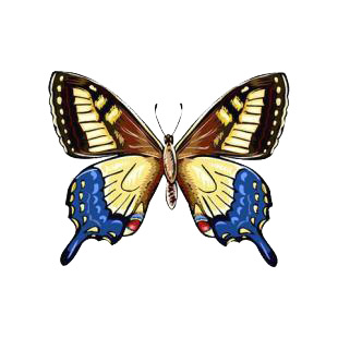 Butterfly listed in butterflies decals.