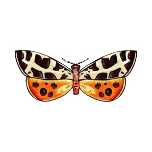 Moth listed in butterflies decals.