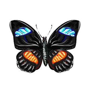 Butterfly listed in butterflies decals.