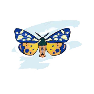 Moth listed in butterflies decals.